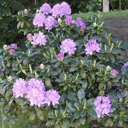 Maison Normande Proximi De La Holiday home *