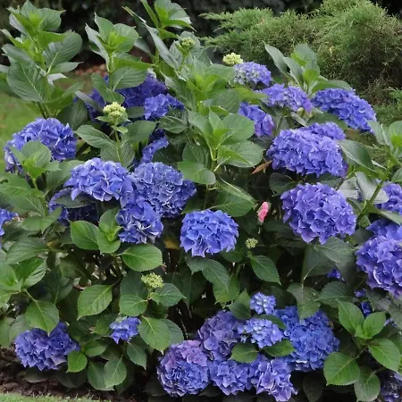 Holiday home Maison Normande Proximi De La