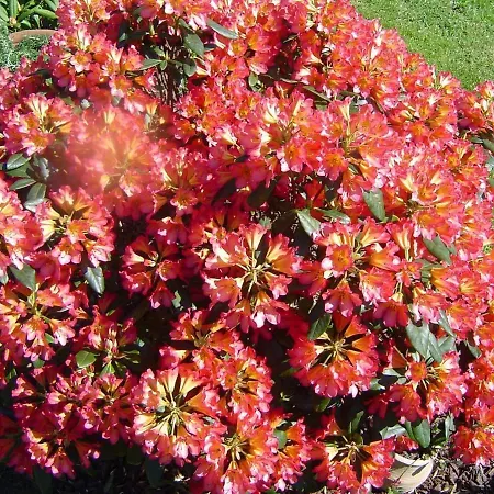 Maison Normande Proximi De La Holiday home