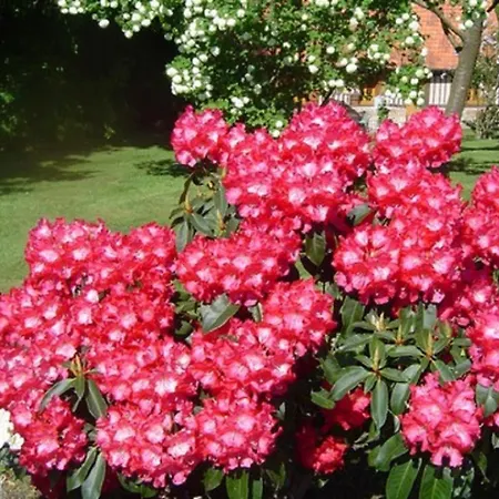 Holiday home Maison Normande Proximi De La *